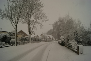171210-PK-sneeuwval in Heeswijk- 2 